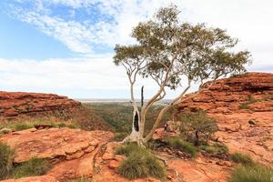 kings canyon territorio settentrionale australia foto