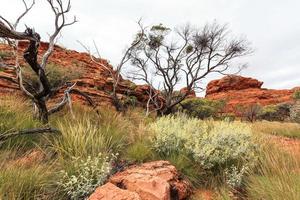 kings canyon territorio settentrionale australia foto