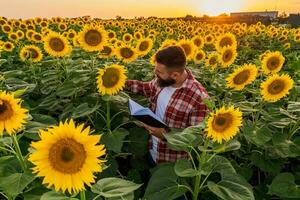 contadino è in piedi nel il suo girasole campo quale è nel fiore. lui è l'esame progresso di il impianti. foto