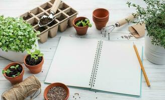 giardinaggio concetto, piantare a casa foto