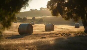 sole baciato fieno balle punto il rurale paesaggio generato di ai foto