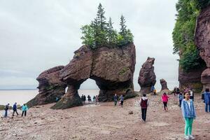 baia di fondi, Canada - agosto 12, 2015-persone camminare su il parte inferiore di il baia di finanziare come il marea è su su un nuvoloso giorno foto