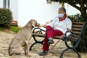 anziano donna indossare un' casa fatto viso maschera e godendo alcuni tempo all'aperto con sua animale domestico durante il coronavirus quarantena de escalation foto