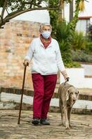 anziano donna indossare un' casa fatto viso maschera e avendo un' corto camminare all'aperto con sua animale domestico durante il coronavirus quarantena de-escalation foto