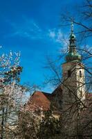 scalzo carmelitana Chiesa di nostro signora vittorioso anche chiamato santuario di il infantile Gesù di praga nel mala strana a vecchio cittadina nel praga foto