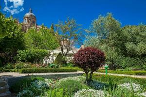 Visualizza di il huerto de calisto y melibea un' bellissimo giardino collocato nel il vecchio cittadina e il salamanca Cattedrale foto