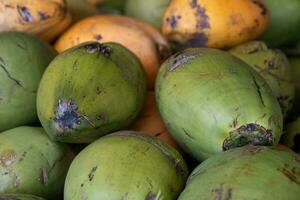 lotto di noci di cocco foto