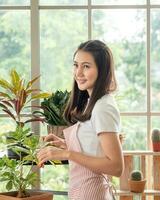 ritratto giardino bellissimo bella giovane asiatico ragazza donna indossare bianca camicetta con lungo nero capelli e Sorridi fresco con luminosa Sorridi Guarda pentola piccolo albero foglia verde pianta nel camera negozio contento e rilassare foto