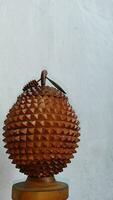legna Marrone naturale durian foto