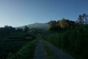 natura di Indonesia foto