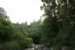 Indonesia grande natura con meraviglioso cultura foto