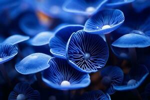blu fungo avvicinamento sfondo. creare ai foto