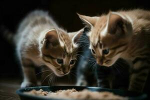 gattini mangiare alimentatore scatola. creare ai foto