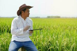 asiatico contadino indossa cappello e bianca camicia osservando e assunzione Nota di il crescita e riso malattia su inteligente tavoletta a verde risaia campo. concetto agricoltura e senza fili tecnologia. inteligente contadino. foto