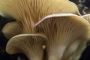 astratto boletus fungo. grande fungo con fungo piatti vicino su Immagine. generato ai. foto
