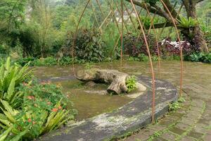 un' di legno panchina posto nel il giardino, servendo come un' posti a sedere la zona per rilassamento e godimento di il dintorni. foto