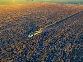 saggina raccolto, nel la pampa, argentina foto