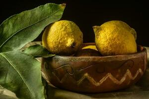 biologico limoni, raccolto a partire dal il giardino, preparato su il tavolo. foto