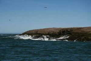 costiero paesaggio marino, Santa Cruz provincia, patagonia, argentina foto