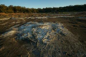 semi deserto ambiente paesaggio, la pampa Provincia, patagonia, argentina. foto