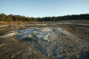 semi deserto ambiente paesaggio, la pampa Provincia, patagonia, argentina. foto