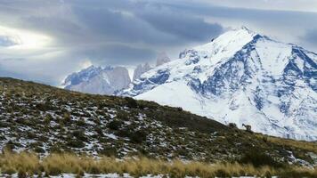 montagna paesaggio ambiente, torres del paine nazionale parco, patagonia, chile. foto