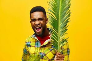 uomo moda contento americano giallo tropicale divertimento albero nero africano palma palma elegante foto