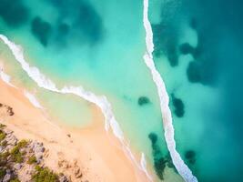 ai generato superiore Visualizza di tranquillo blu oceano, sabbioso costa, e frangiato di palma spiaggia sotto luce del sole nel luce del giorno foto