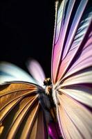 un' vicino su di un' colorato farfalla su un' nero sfondo. ai generato foto