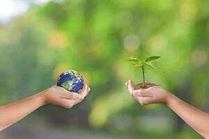 mani Tenere terra globo e albero al di sopra di verde natura sfondo. Salvataggio mondo ecologia concetto foto