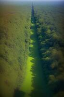 un aereo Visualizza di un' fiume in esecuzione attraverso un' lussureggiante verde campo. ai generato foto