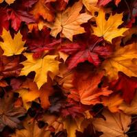 rosso e arancia autunno le foglie sfondo. all'aperto. colorato backround Immagine di caduto autunno le foglie Perfetto per di stagione uso. generativo ai tecnologia foto