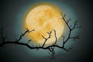 pieno Luna nel il notte cielo. foto