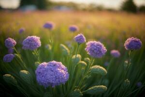 un' campo pieno con molte di viola fiori. ai generato foto