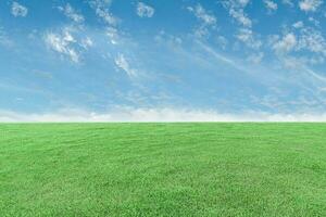 verde erba prato e blu cielo sfondo. naturale campo paesaggio foto