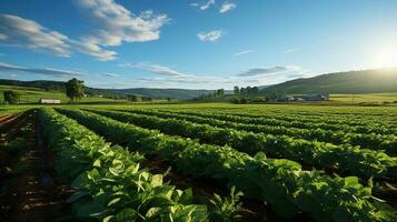 azienda agricola nel sub urbano a pomeriggio, ultra realistico, liscio illuminazione fatto di ai generativo foto