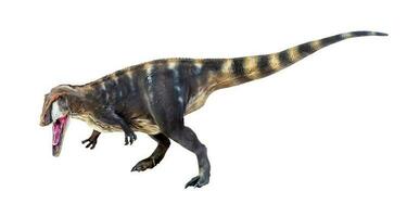 dinosauro , carcharadontosauro isolato sfondo foto