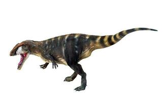 dinosauro , carcharadontosauro isolato sfondo foto