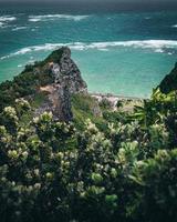 vista della natura tropicale da un sentiero escursionistico a oahu, hawaii foto