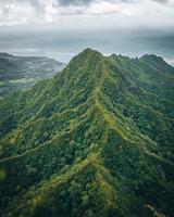 vista della natura tropicale da un sentiero escursionistico a oahu, hawaii foto