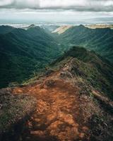 vista della natura tropicale da un sentiero escursionistico a oahu, hawaii foto