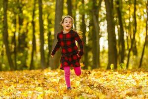 bellissimo poco ragazza con autunno le foglie all'aperto foto