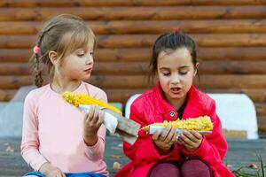 poco ragazze mangiare disordinato Mais su il pannocchia foto