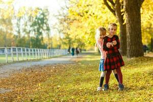 Due poco ragazze nel autunno parco foto