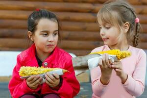 Due poco ragazza raccolta e mangiare Mais nel Mais campo. agricoltura concetto. foto