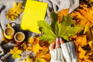 ragazza Tenere acero foglia nel autunno parco foto