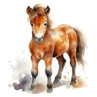 carino acquerello pony isolato foto