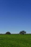 colorato paesaggio, pampa, argentina foto