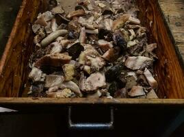 Maiale carne, ingrediente per preparare bianca sangue salsiccia, argentina foto