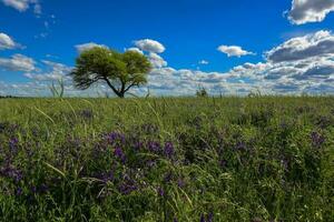 colorato paesaggio, pampa, argentina foto